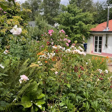 B&B Rosenliebe-3